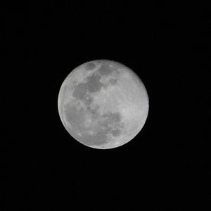 Meet your Posher, Andre